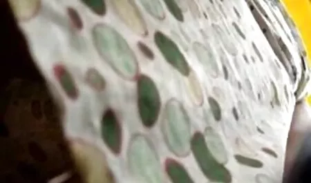 Masszázs porno videok magyarul szobák-sport istennő szereti gspot